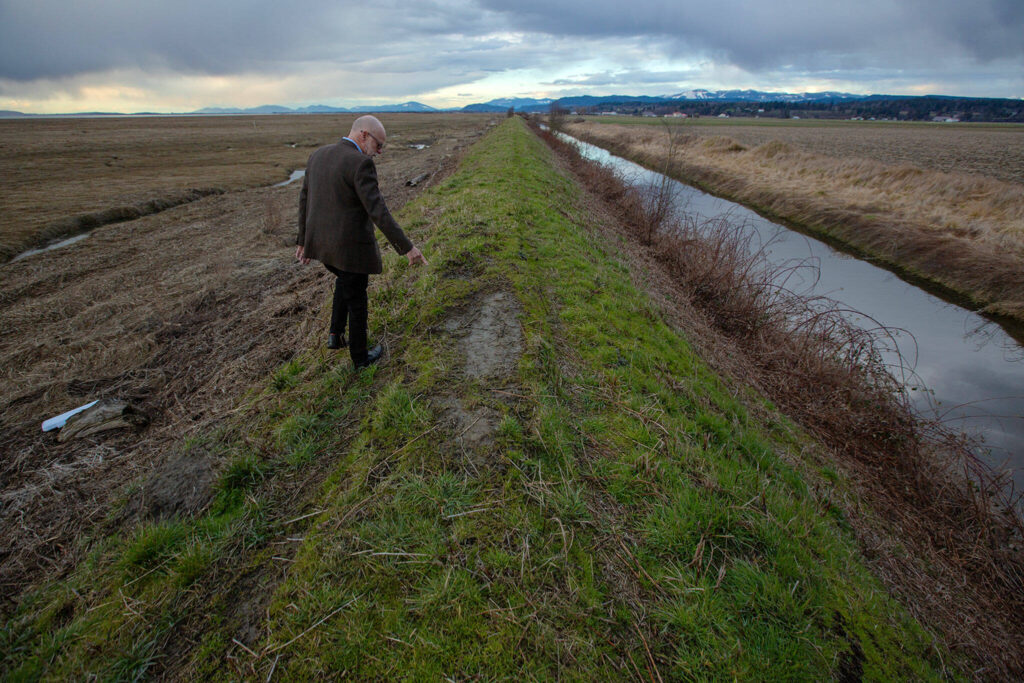 Mayor Sid Roberts points out low points and general degradation of the dike that holds back water from Skagit Bay during high tides on Tuesday, March 7, 2023, on the west end of Stanwood, Washington. (Ryan Berry / The Herald)
