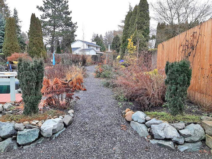 Steve’s garden in late winter. (Steve Smith)