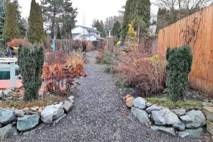 Steve’s garden in late winter. (Steve Smith)