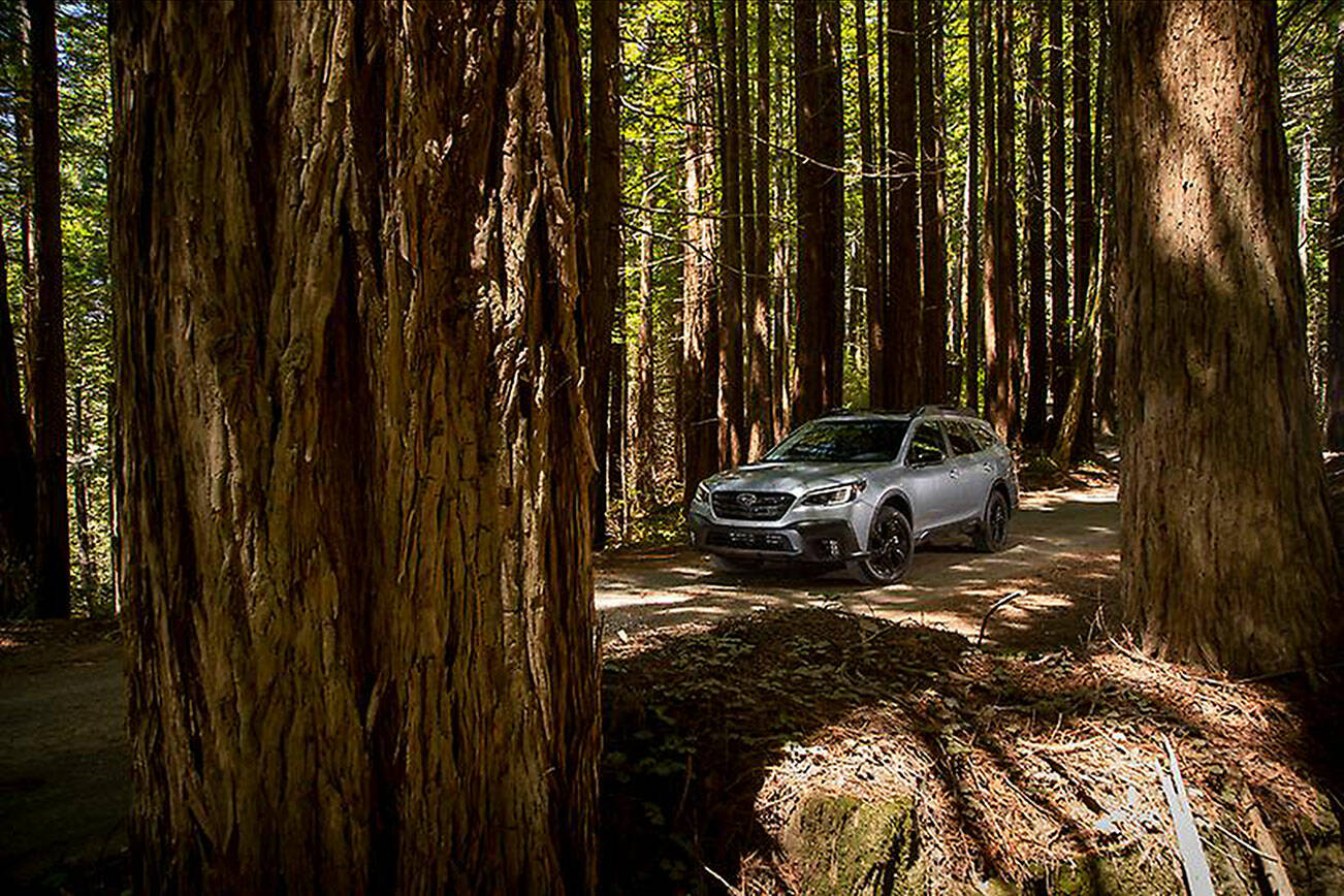 2023 Subaru Outback Wilderness (Subaru)