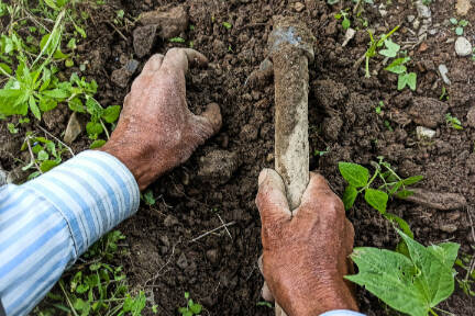 It’s time to get up and make your beds — your vegetable and flower beds, that is — while it’s still cool. (Getty Images)