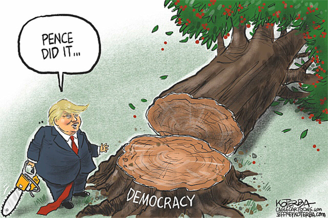 toon