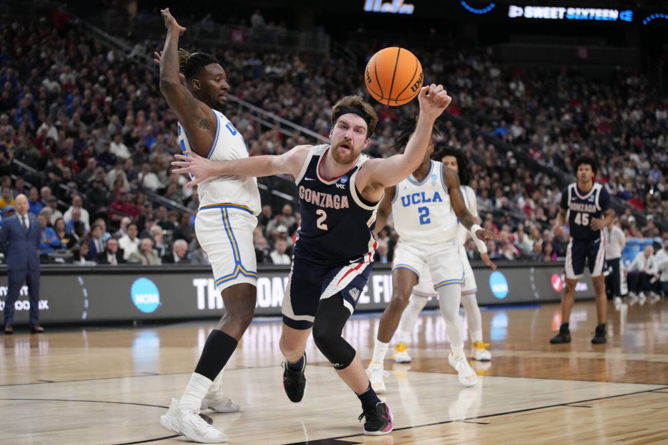 Gonzaga's Drew Timme (2) loses controls of the ball while defended by UCLA's Kenneth Nwuba, left, in the first half of a Sweet 16 college basketball game in the West Regional of the NCAA Tournament, Thursday, March 23, 2023, in Las Vegas. (AP Photo/John Locher)