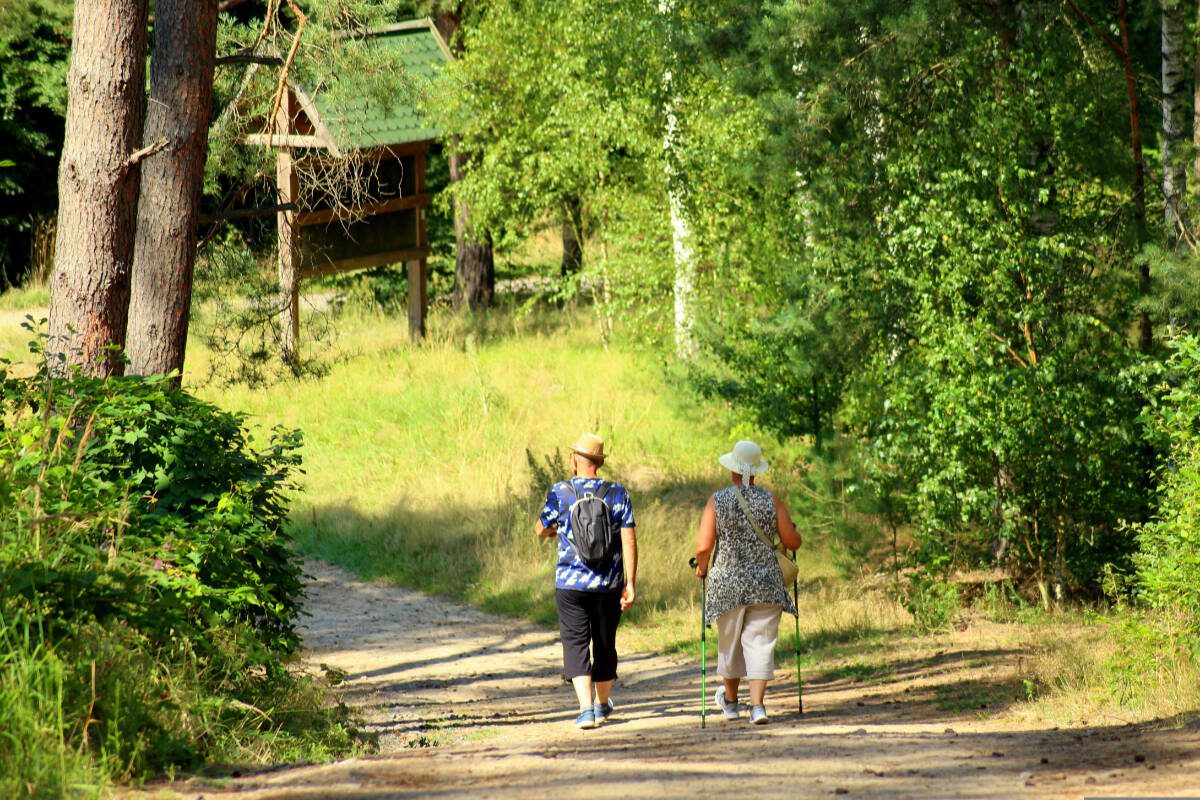 Walking is a great way for seniors to remain active as they age, consider finding a local walking group (or starting your own!) for even more great benefits!