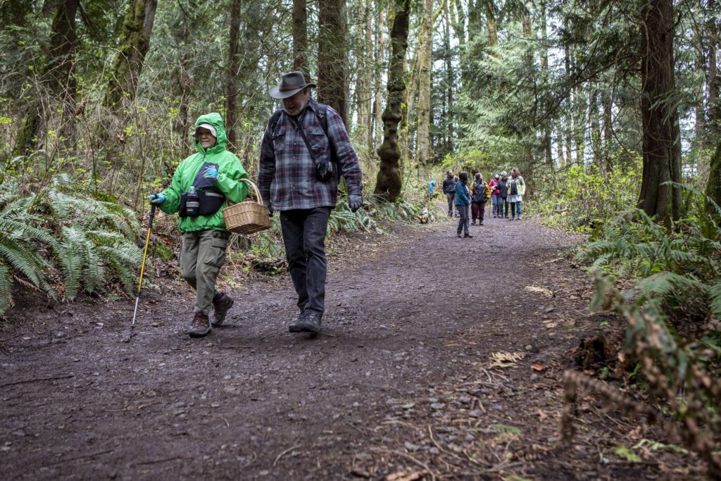 Members of the Snohomish County Mycological Society forage for mushrooms at Lord Hill Park on Saturday, April 8, 2023 in Snohomish, Washington. (Annie Barker / The Herald)
