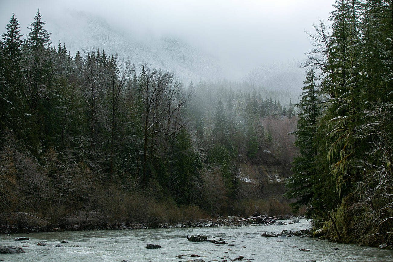 The South Fork Stillaguamish River flows out of Mount Baker-Snoqualmie National Forest on Tuesday, April 11, 2023, outside Verlot, Washington. (Ryan Berry / The Herald)