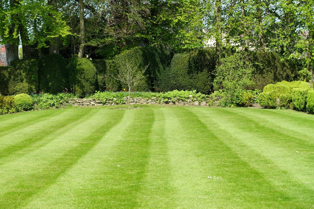 A well-maintained lawn can be a joy to behold. (Getty Images)