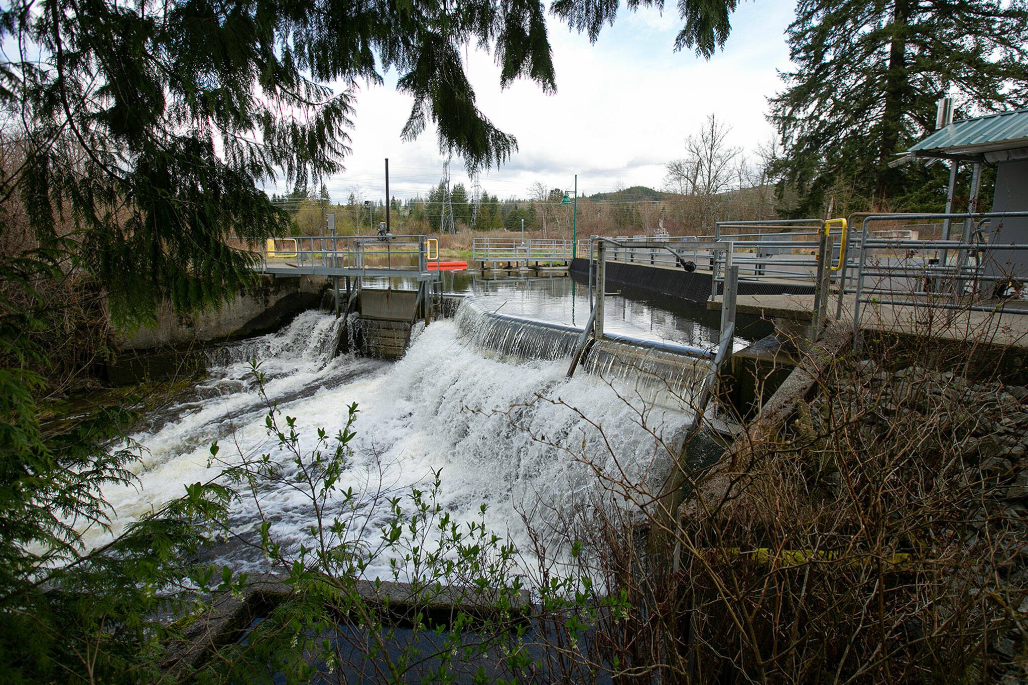 Water tumbles over the top of the Woods Creek Hydroelectric Project and down to a natural waterfall below on Thursday, April 13, 2023, in Monroe, Washington. (Ryan Berry / The Herald)