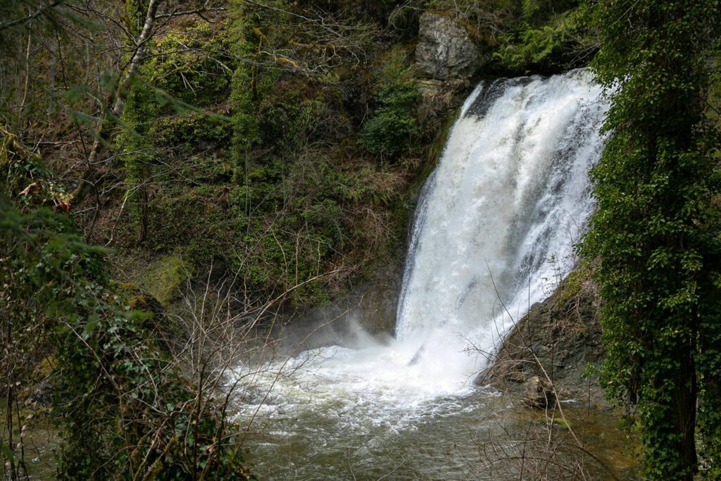 A waterfall pours through the Woods Creek Hydroelectric Project on Thursday, April 13, 2023, in Monroe, Washington. Water at the top of the project is redirected to the powerhouse to create energy, but much of the creek’s water is not tunneled through the system and instead careens off this natural waterfall. (Ryan Berry / The Herald)
