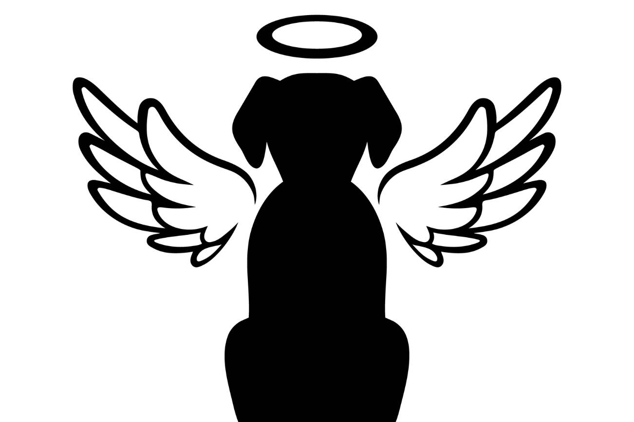 Vector Dog Memorial Graphic Dog Angel Illustration