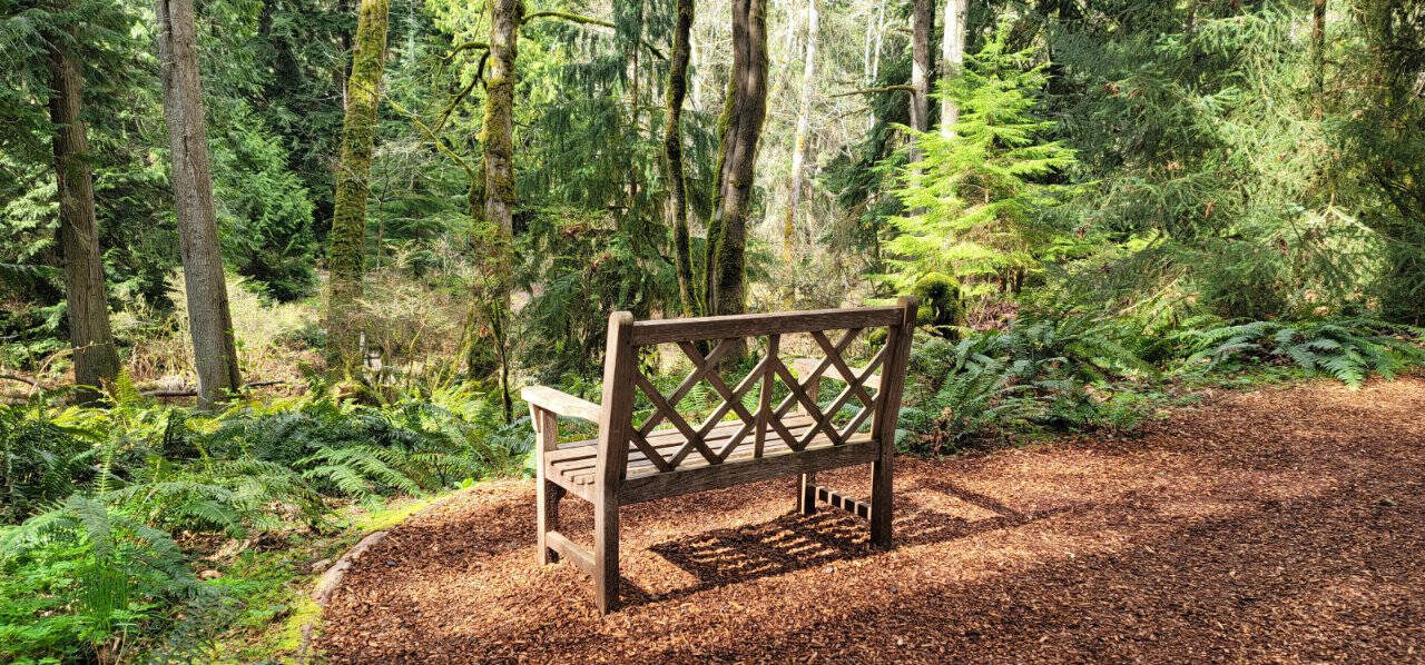 The two-hour walk through Bloedel Reserve on Bainbridge Island offers opportunity for inspiration and reflection. (Jennifer Bardsley)