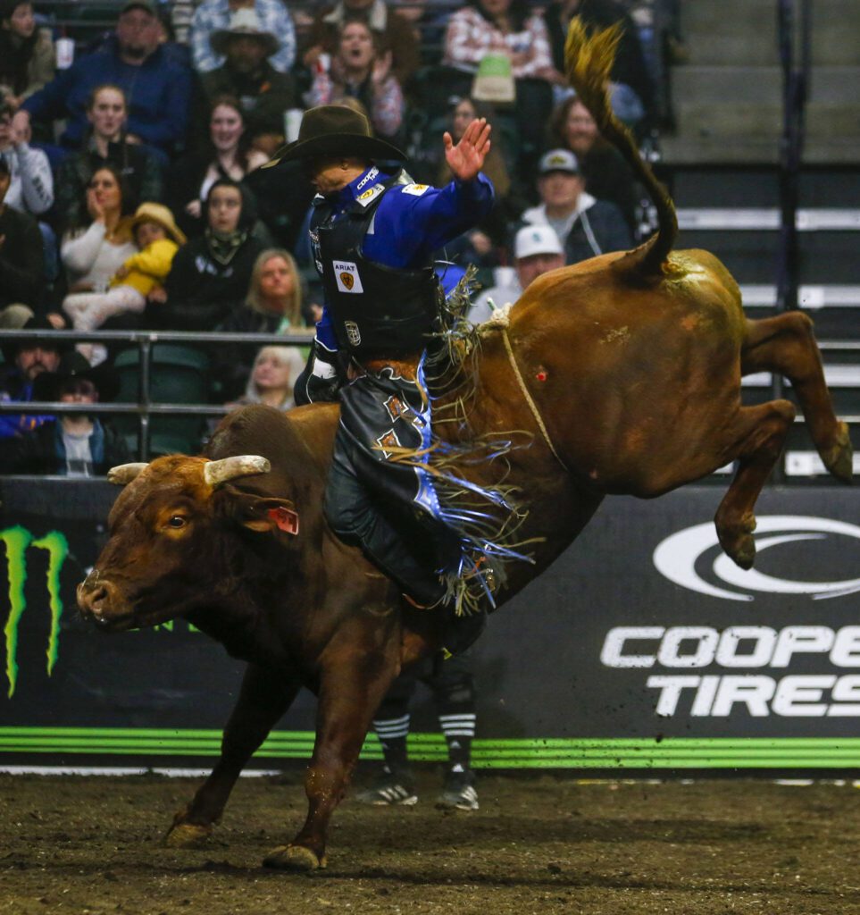 Eduardo Aparecido rides a bull during Unleash The Beast at Angel of the Winds Arena in Everett, Washington on Thursday, April 20, 2023. (Annie Barker / The Herald)

