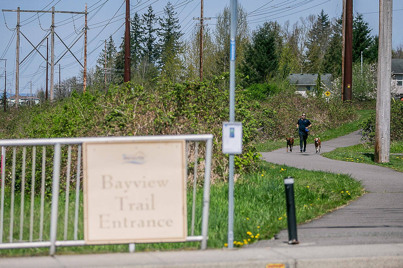 William Gamboa runs with his dogs along Bayview Trail on Thursday, April 27, 2023 in Marysville, Washington. (Olivia Vanni / The Herald)