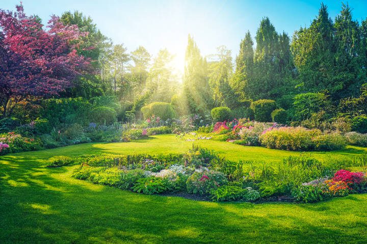 Whether leaves or flowers, you cant help but be uplifted when you are immersed in all the bright colors of a spring garden in bloom. (Getty images)