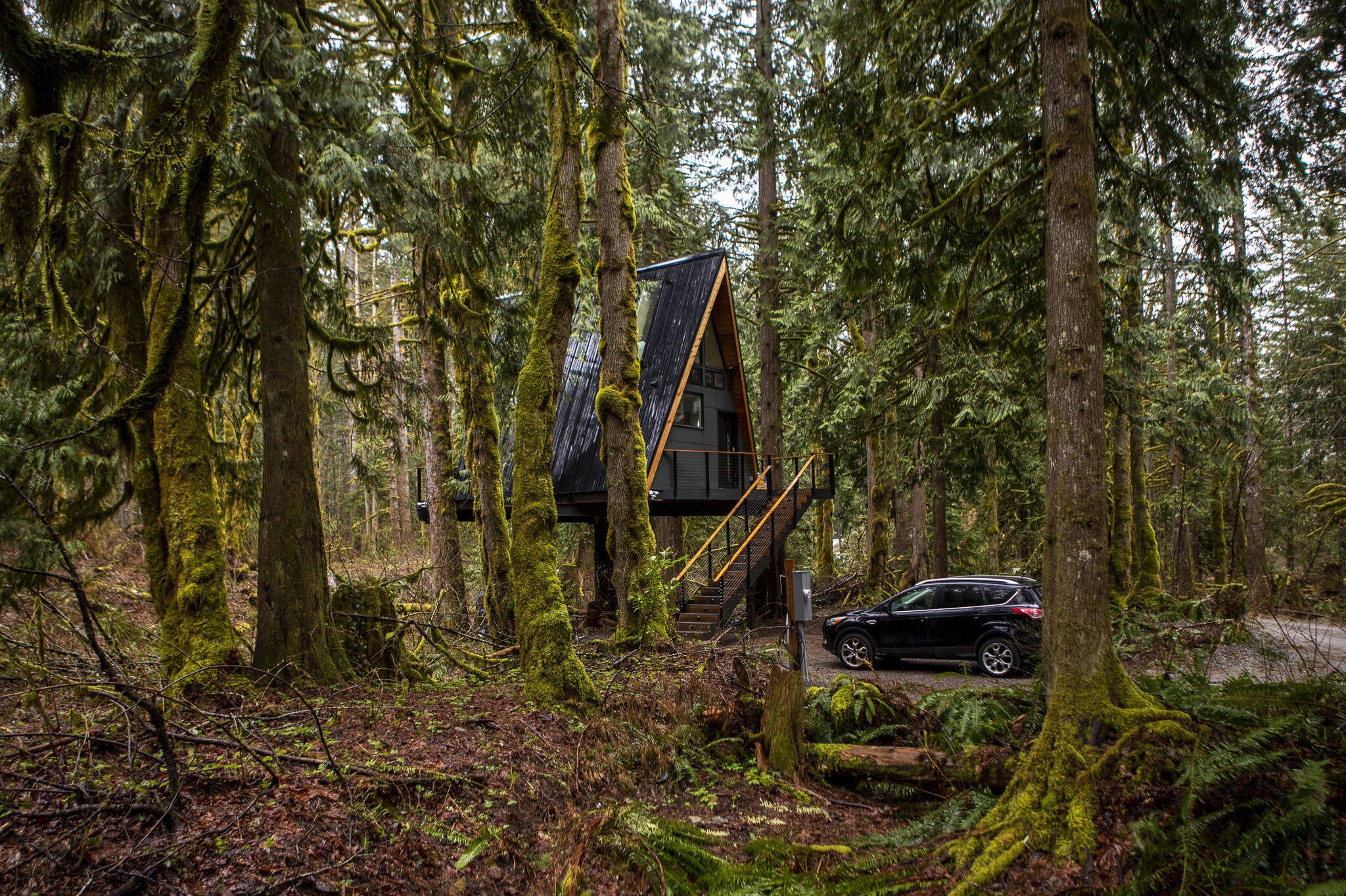 The Tree Frame Cabin perches 13 feet off the ground. (Annie Barker / The Herald)