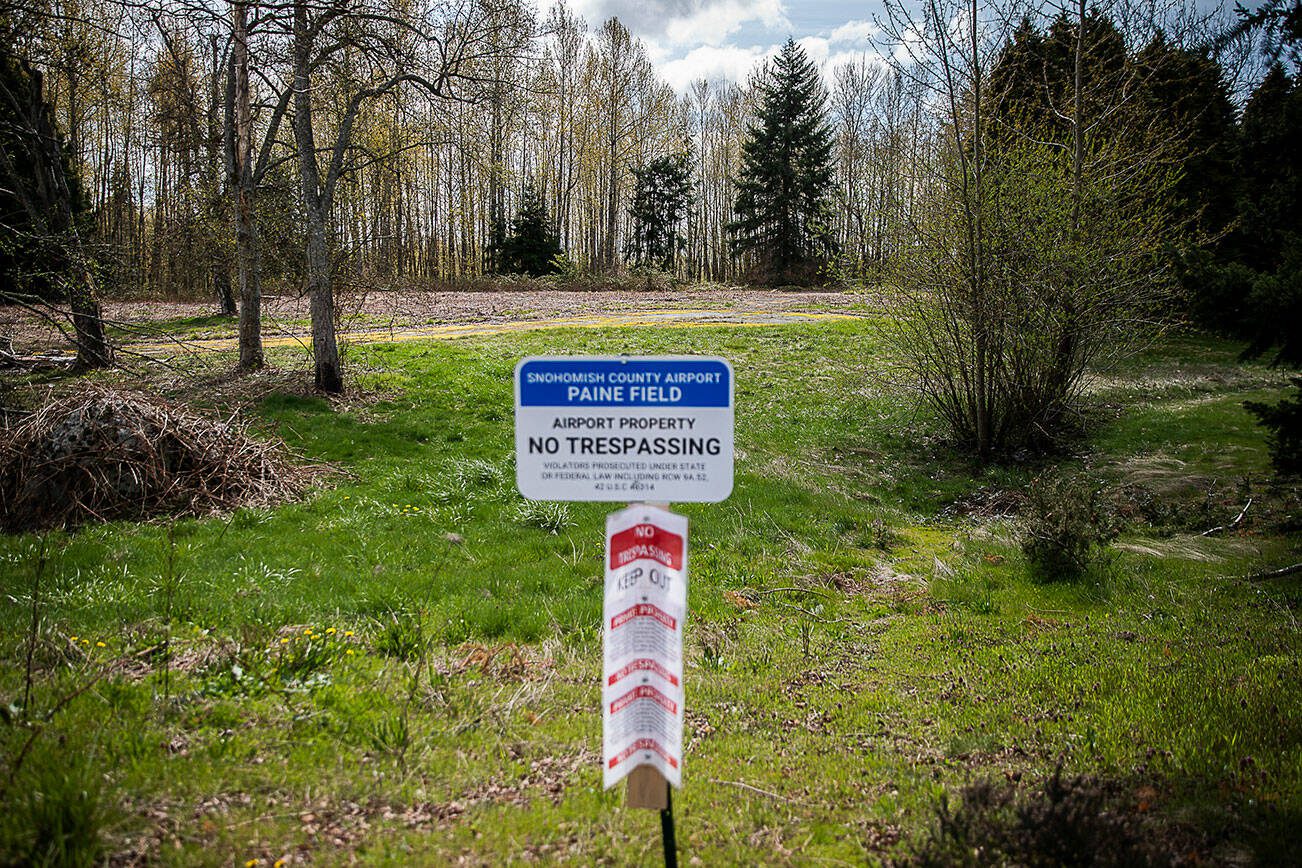 A site where PFAS was found on Paine Field property on Wednesday, April 19, 2023 in Everett, Washington. (Olivia Vanni / The Herald)