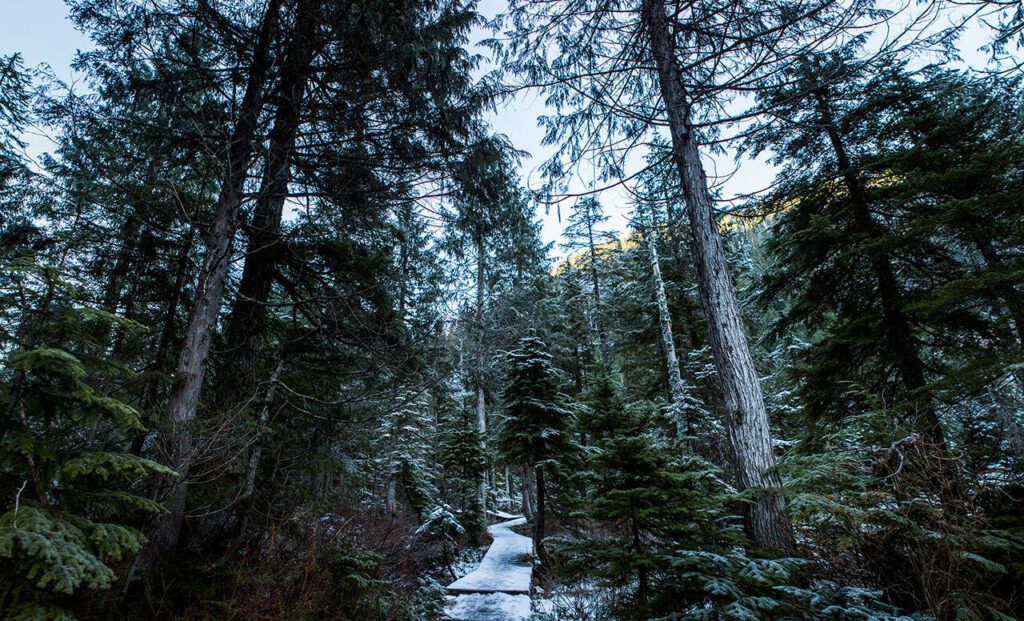 Snow covers a part of the hiking trail to Heather Lake on Wednesday, Dec. 5, 2018 in Granite Falls, Wa. (Olivia Vanni / The Herald)
