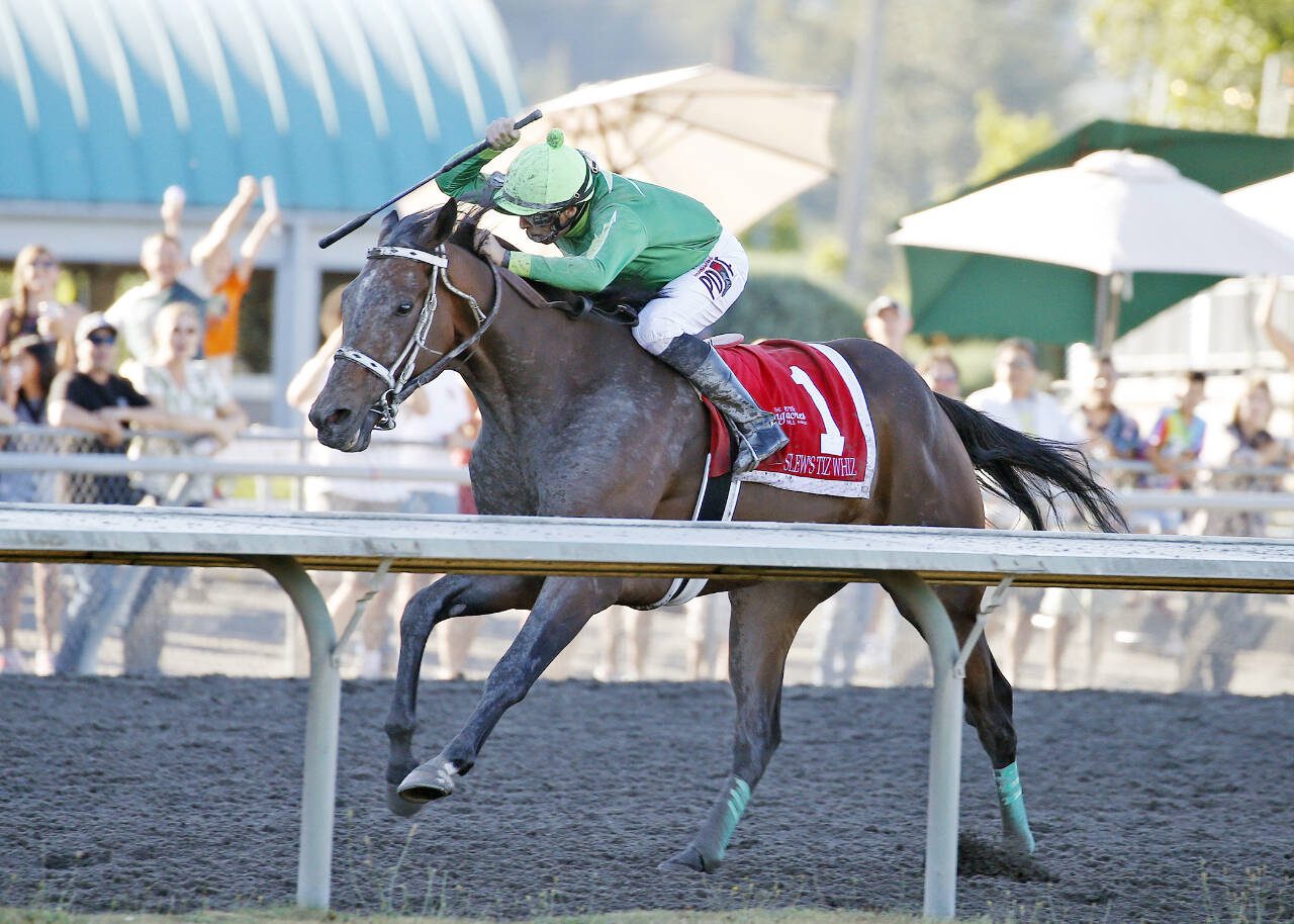 Slew’s Tiz Whiz wins the Longacres Mile in 2022 at Emerald Downs in Auburn. (Emerald Downs photo)