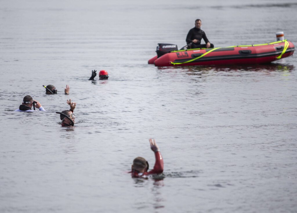 Divers from Snohomish Regional Fire and Rescue, Snohomish County Fire District 4, Marysville Fire Department and and Everett Fire Department swim along the shore of Lake Stevens looking for a dummy during a water rescue training scenario on Tuesday, May 16, 2023, in Lake Stevens, Washington. (Olivia Vanni / The Herald)
