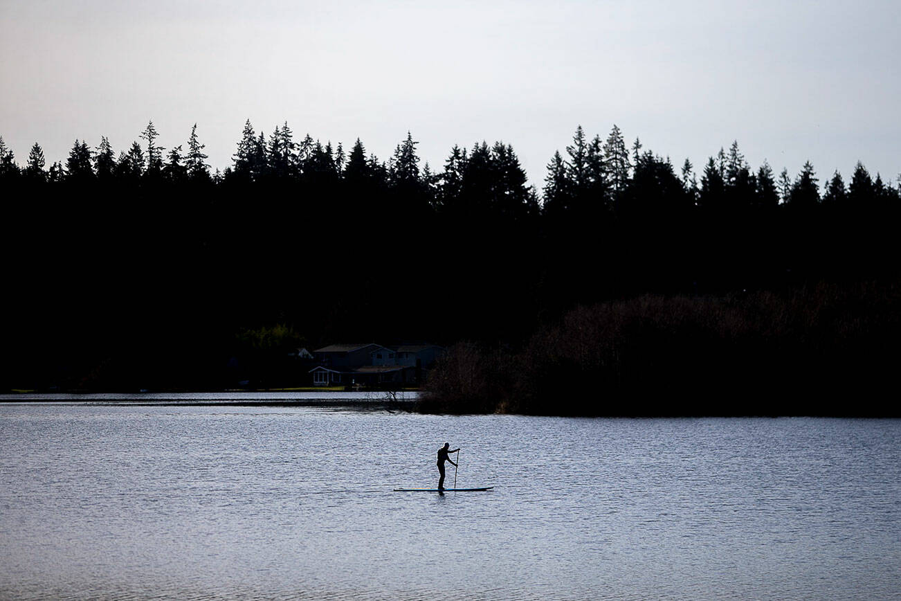 A paddleboarder makes their way across Lake Ballinger on Tuesday, Jan. 10, 2023 in Mountlake Terrace, Washington. (Olivia Vanni / The Herald)