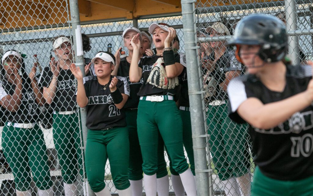 Jackson players cheer during the WIAA Class 4A state softball title game on Saturday, May 27, 2023, in Richland. (TJ Mullinax / For The Herald)
