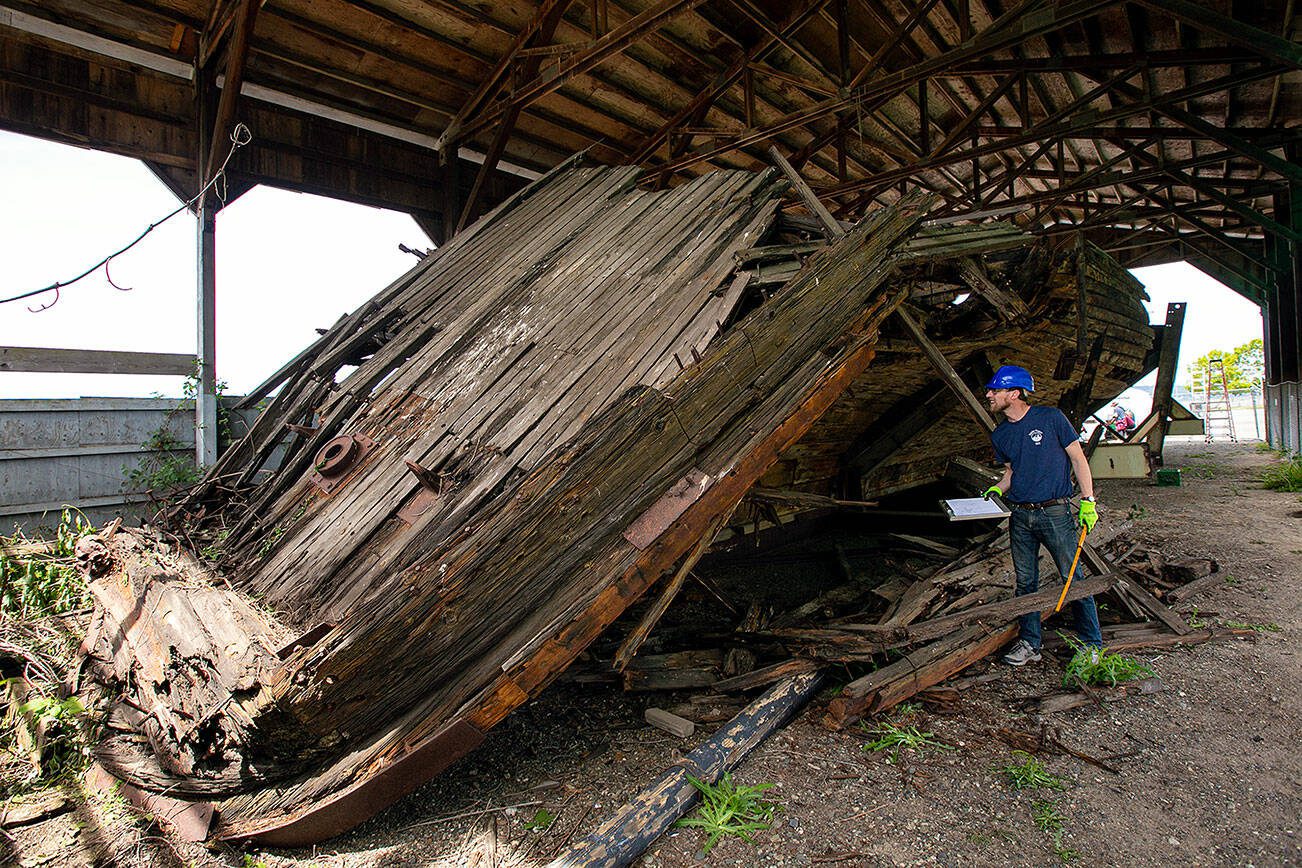 Cutwater Archaeology’s Nathaniel Howe analyzes the collapsed stern of the Equator on Wednesday, June 7, 2023, while drawing reconstructed diagrams of the vessel during a two-week survey at its resting place in Everett, Washington. Howe joined the project as a collaborator with the staff and students form Texas A&M. (Ryan Berry / The Herald)