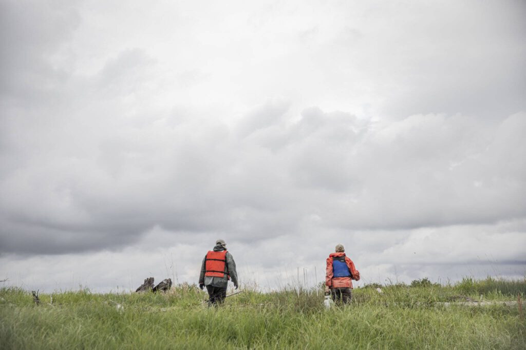 Brian Henrichs and Emily Howe walk up to one of their bug traps along Port Susan on Monday, May 22, 2023 in Stanwood, Washington. (Olivia Vanni / The Herald)
