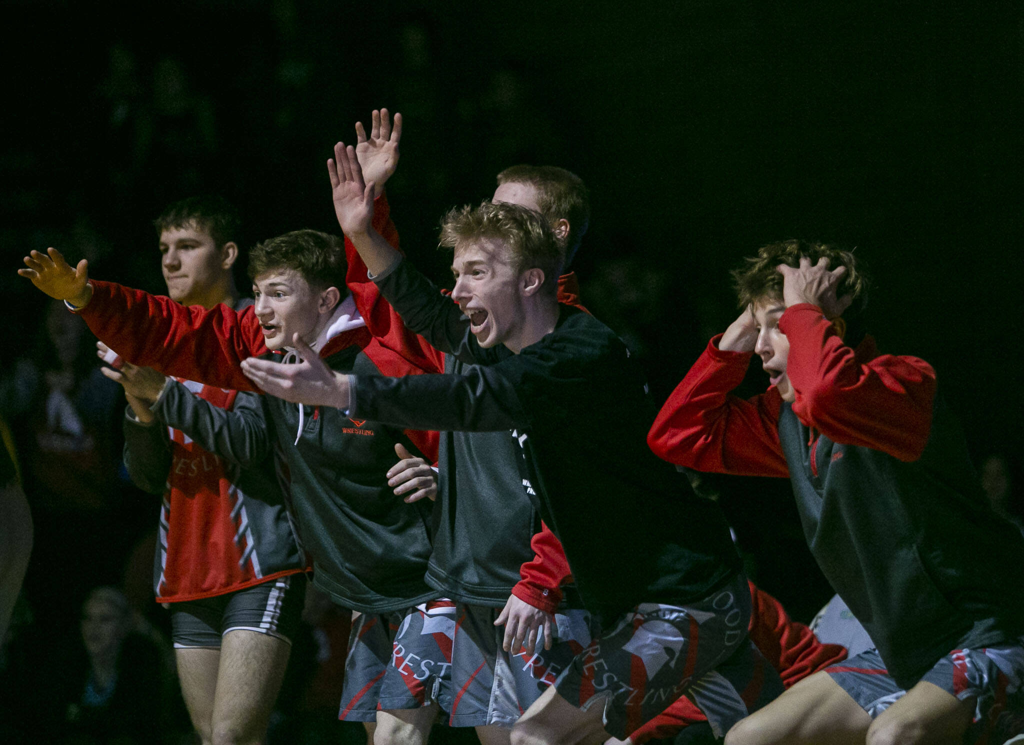 Stanwood wrestlers react to a pin during a match against Arlington on Jan. 24 in Arlington. The Stanwood boys wrestling team placed third at state in Class 3A. (Olivia Vanni / The Herald)