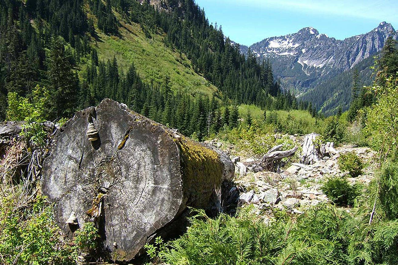 The Wilderness Land Trust transferred a 354-acre property straddling the Wild Sky and Henry M. Jackson Wilderness Areas to public ownership, adding it to the designated wilderness areas. (The Wilderness Land Trust)