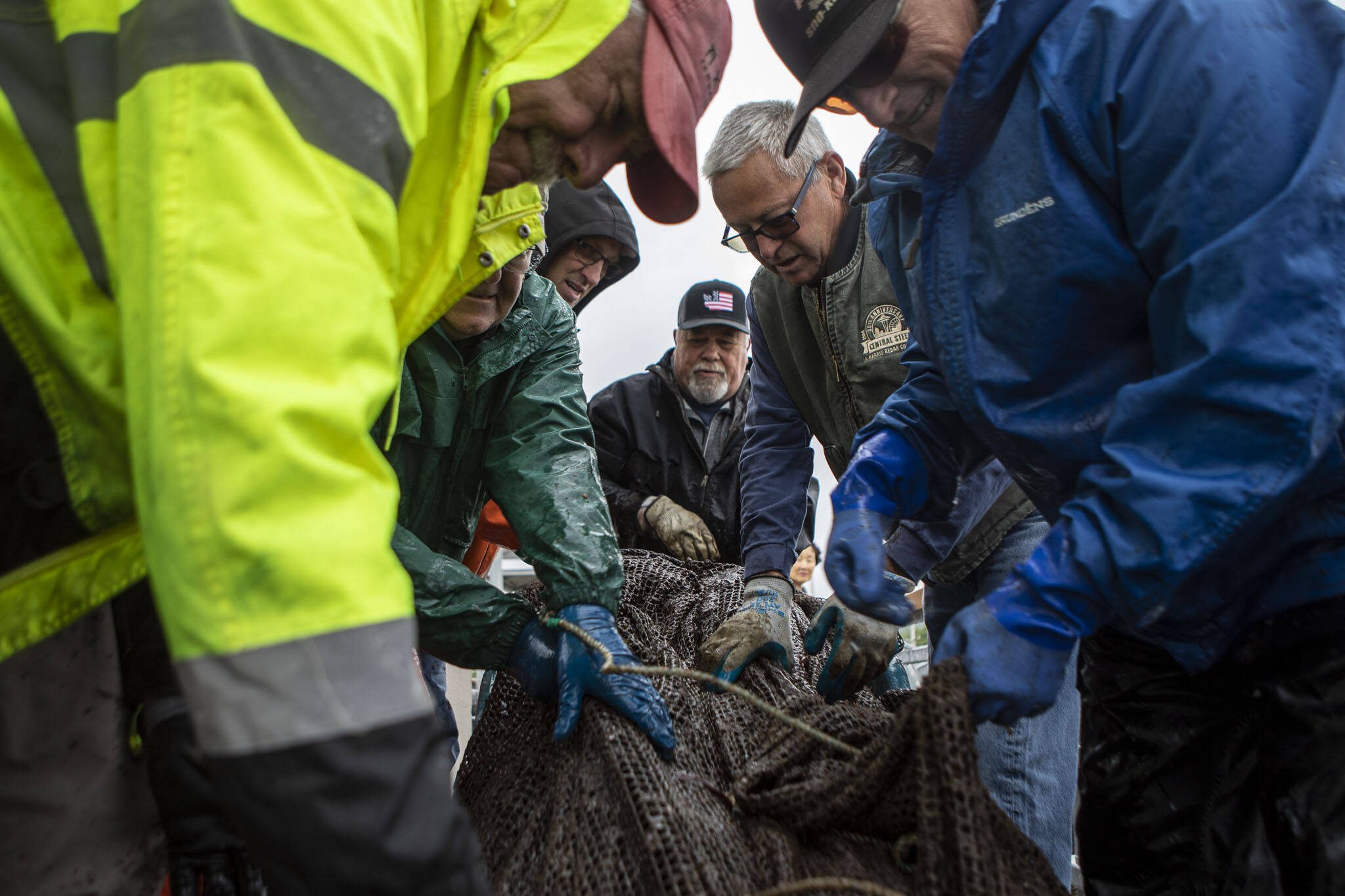 Off Edmonds pier, a new generation of salmon begins an old cycle