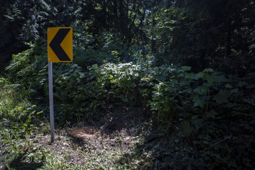 The site of a car crash involving the death of Szander Pouv near the corner of 215th Avenue SE and 108th Street SE north of Monroe, Washington on Thursday, June 29, 2023. (Annie Barker / The Herald)
