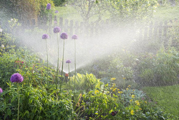 A sprinkler system provides water to a home garden. (Getty Images)