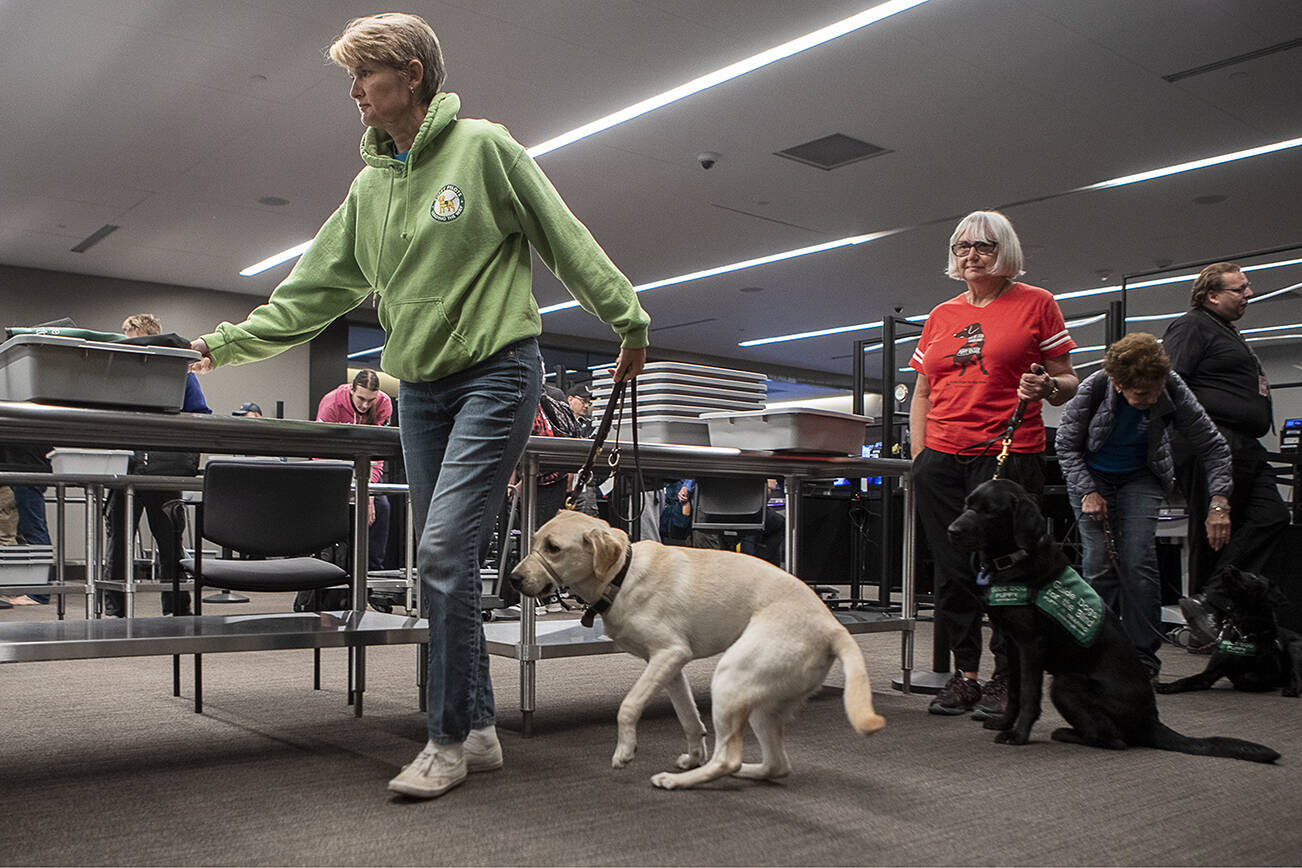 Kim Rosales sets their items on the security belt and moves forward in line with their service animal Sabrina to practice going through TSA at Paine Field in Everett, Washington on Saturday, June 24, 2023. (Annie Barker / The Herald)