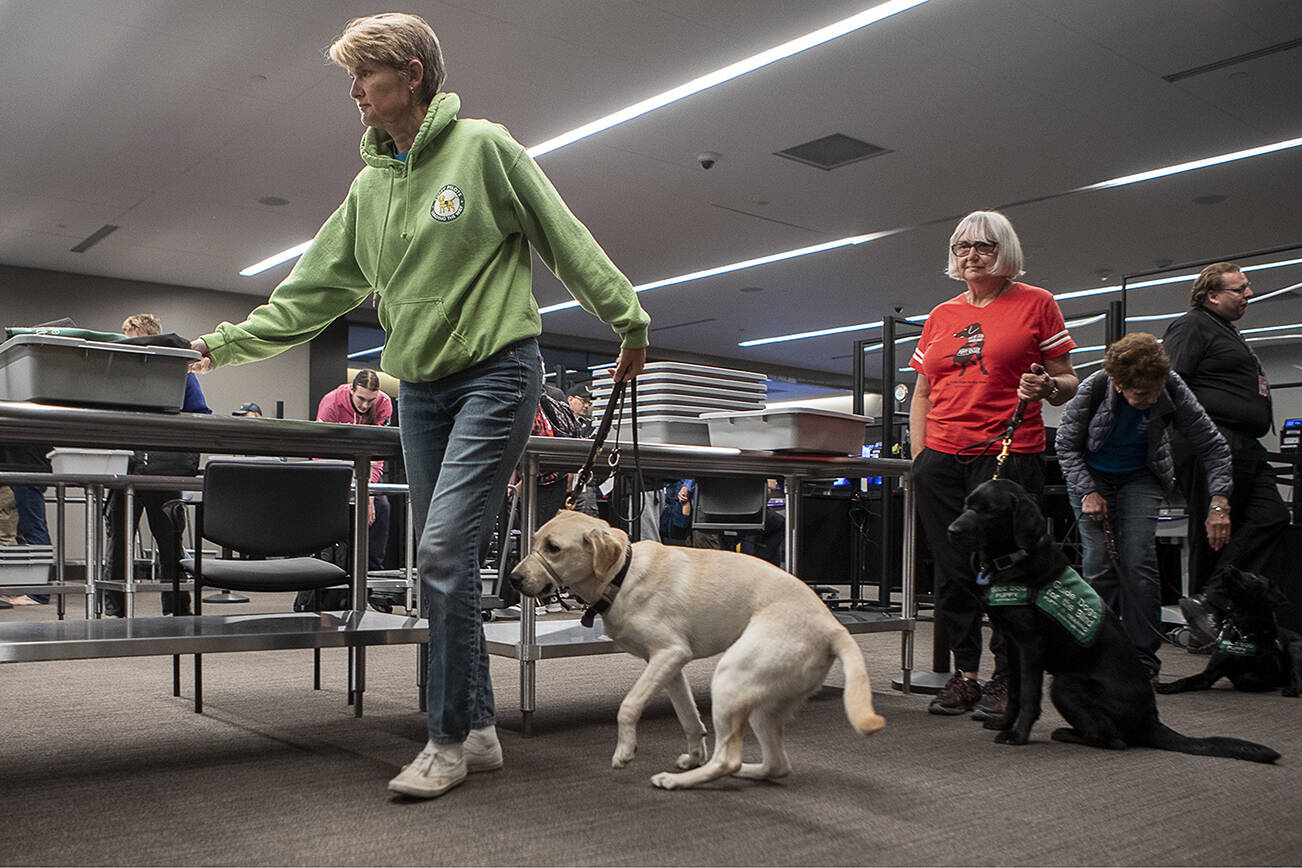 The official field guide shop for dogs