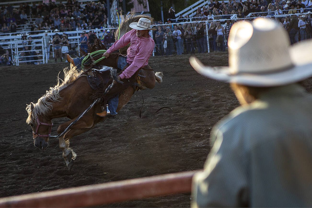 Jake Iverson, 23, rides during the ranch saddle bronc event during the Timberbowl Rodeo in Darrington, Washington on Saturday, June 24, 2023. The horse broke its leg and was evacuated from the ring for the vet. (Annie Barker / The Herald)