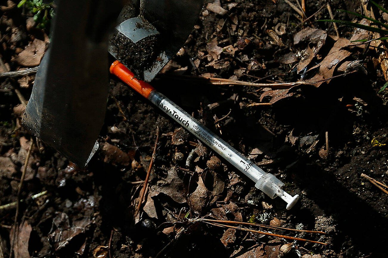 Ian Terry / The Herald

A needle is picked up by a volunteer helping to clean Wiggums Hollow Park in Everett on Saturday, March 17.

Photo taken on 03172018