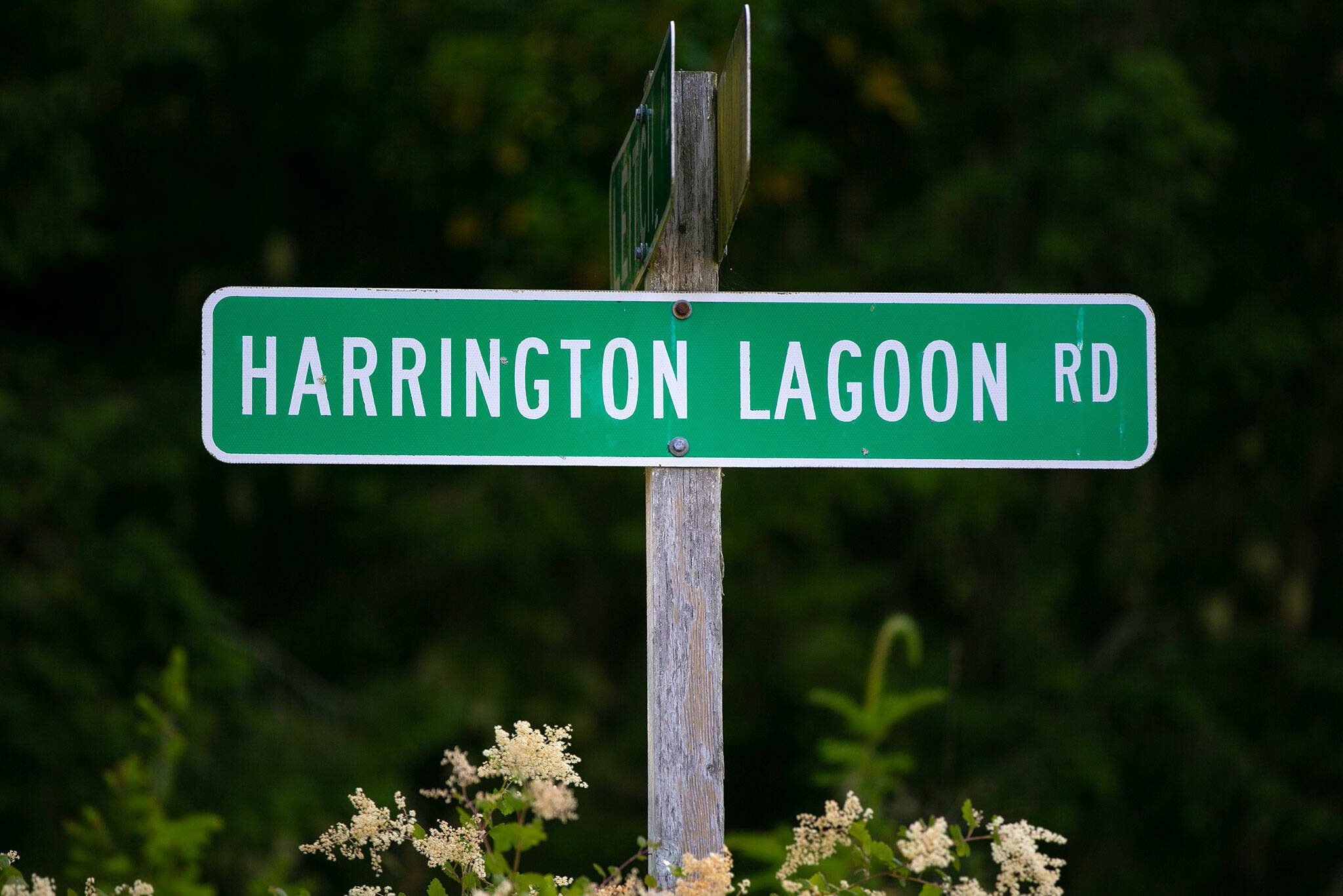 Harrington Lagoon Road runs through the Harrington Lagoon neighborhood on June 22, 2023, in Coupeville, Washington. (Ryan Berry / The Herald)