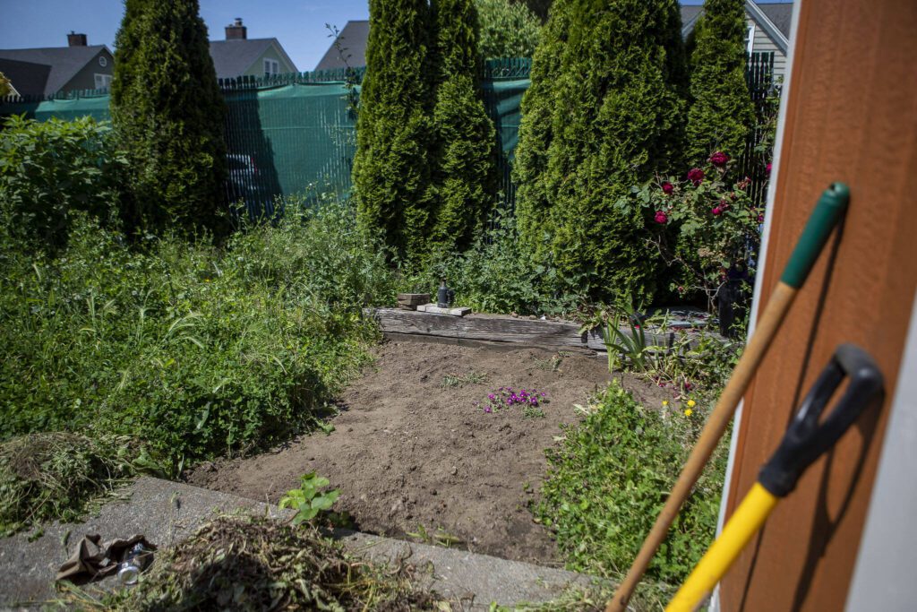 The beginnings of an outdoor garden area at the Waits Motel in Everett, Washington on Thursday, June 22, 2023. The motel is under new managership. (Annie Barker / The Herald)
