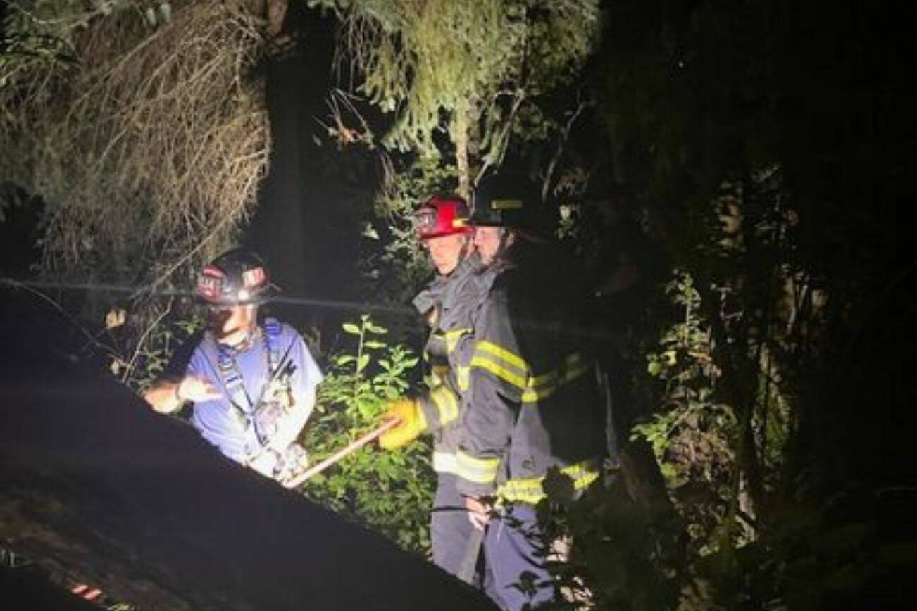Firefighters perform a rope rescue of a woman who fell down a ravine early near Mukilteo on Sunday, July 2. (Photo provided by South County Fire)