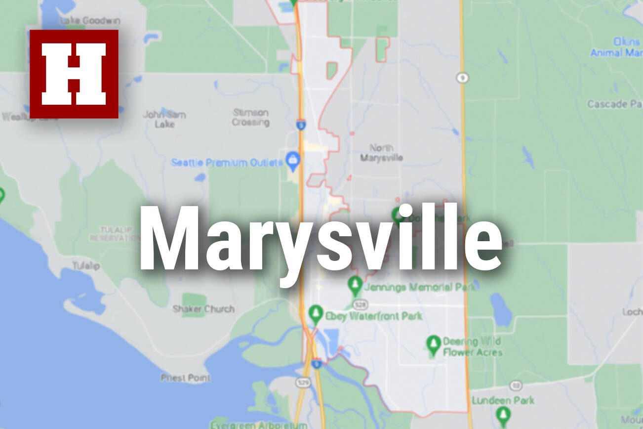 Man seriously hurt, dog killed in Marysville crash