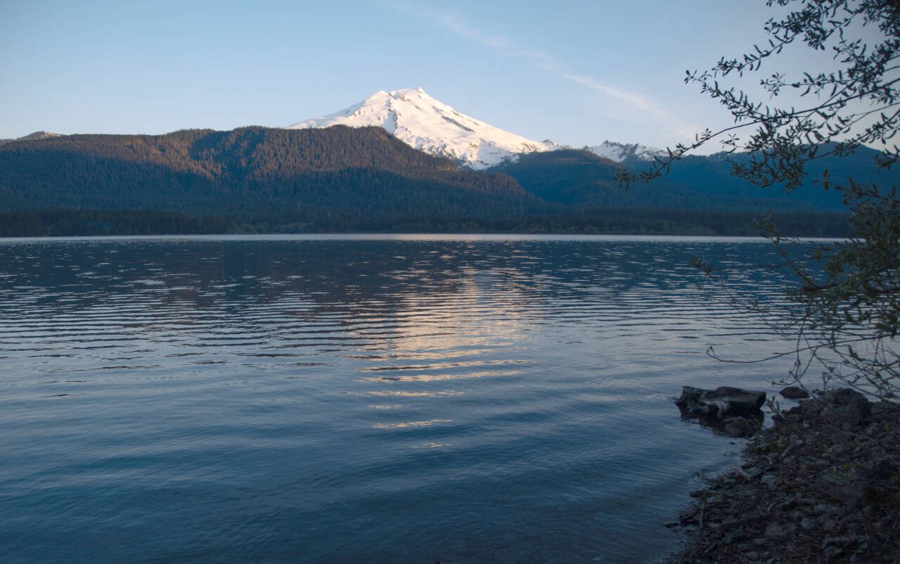 Mount Baker glows with the morning sun above Baker Lake, as seen from Maple Grove Campground on May 12. The campground boasts six sites, complete with easy access to the lake, bear boxes, fire rings, picnic tables and a bathroom. (Hailey Hoffman / Cascadia Daily News)