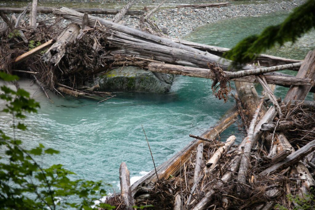 The icy blue waters of Baker River rushes through the North Cascades. (Hailey Hoffman / Cascadia Daily News)
