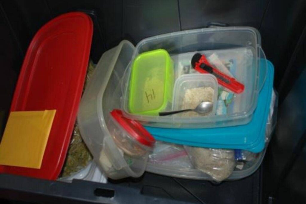 A plastic tub containing MDMA and perforated blotter paper dosed with LSD found in Linus Lee’s bedroom closet. (U.S. Attorney’s Office)
