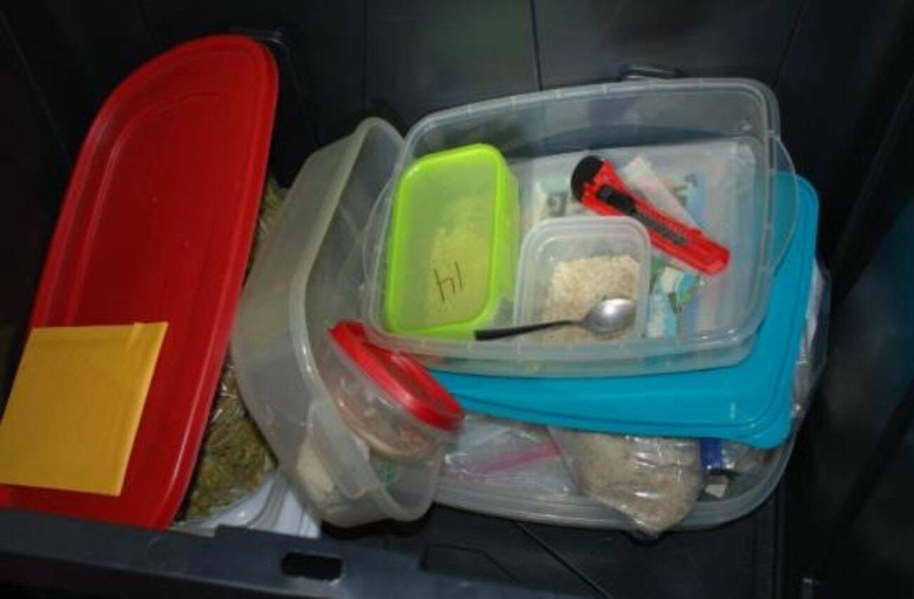 A plastic tub containing MDMA and perforated blotter paper dosed with LSD found in Linus Lee's bedroom closet. (U.S. Attorney's Office)
