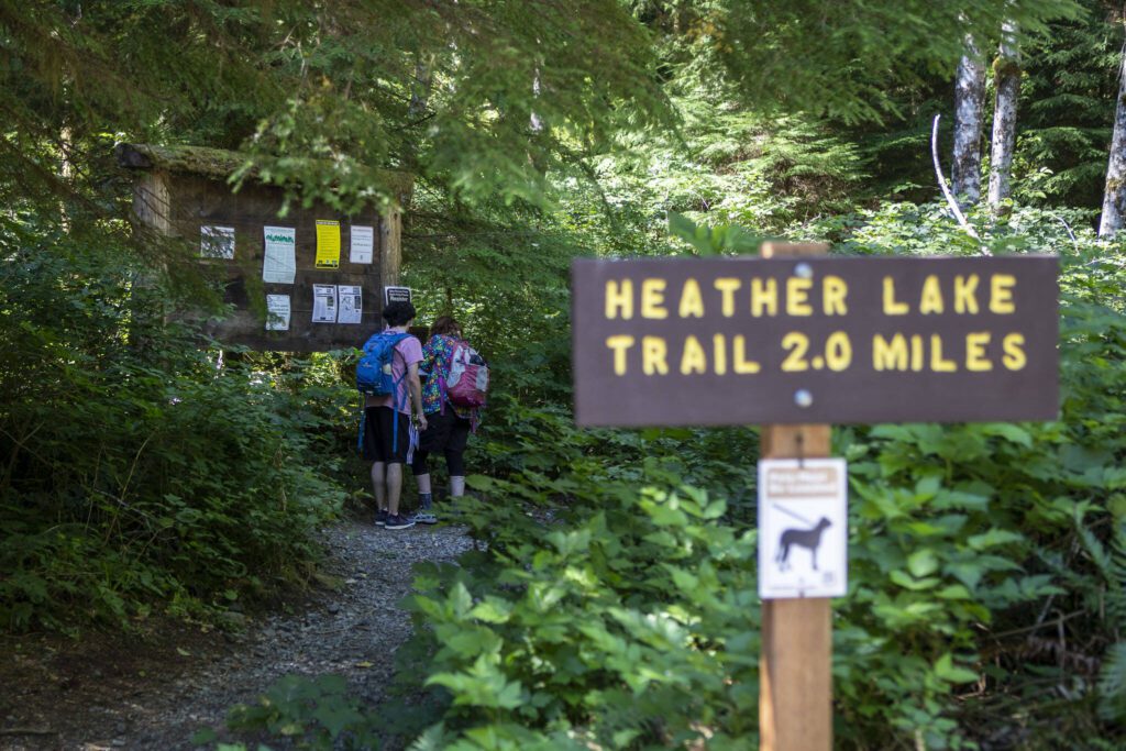 Hikers enter the Heather Lake Trail along the Mountain Loop Highway in Snohomish County, Washington on Wednesday, July 19, 2023. (Annie Barker / The Herald)

