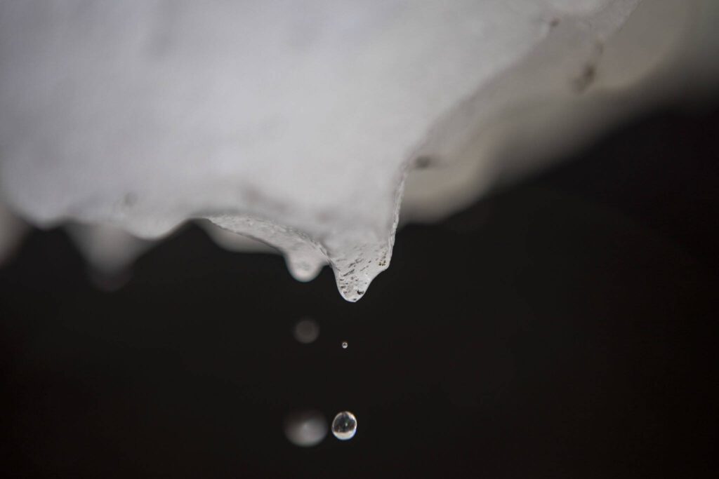 Water drips from the Big Four Ice Caves along the Mountain Loop Highway in Snohomish County, Washington on Wednesday, July 19, 2023. (Annie Barker / The Herald)
