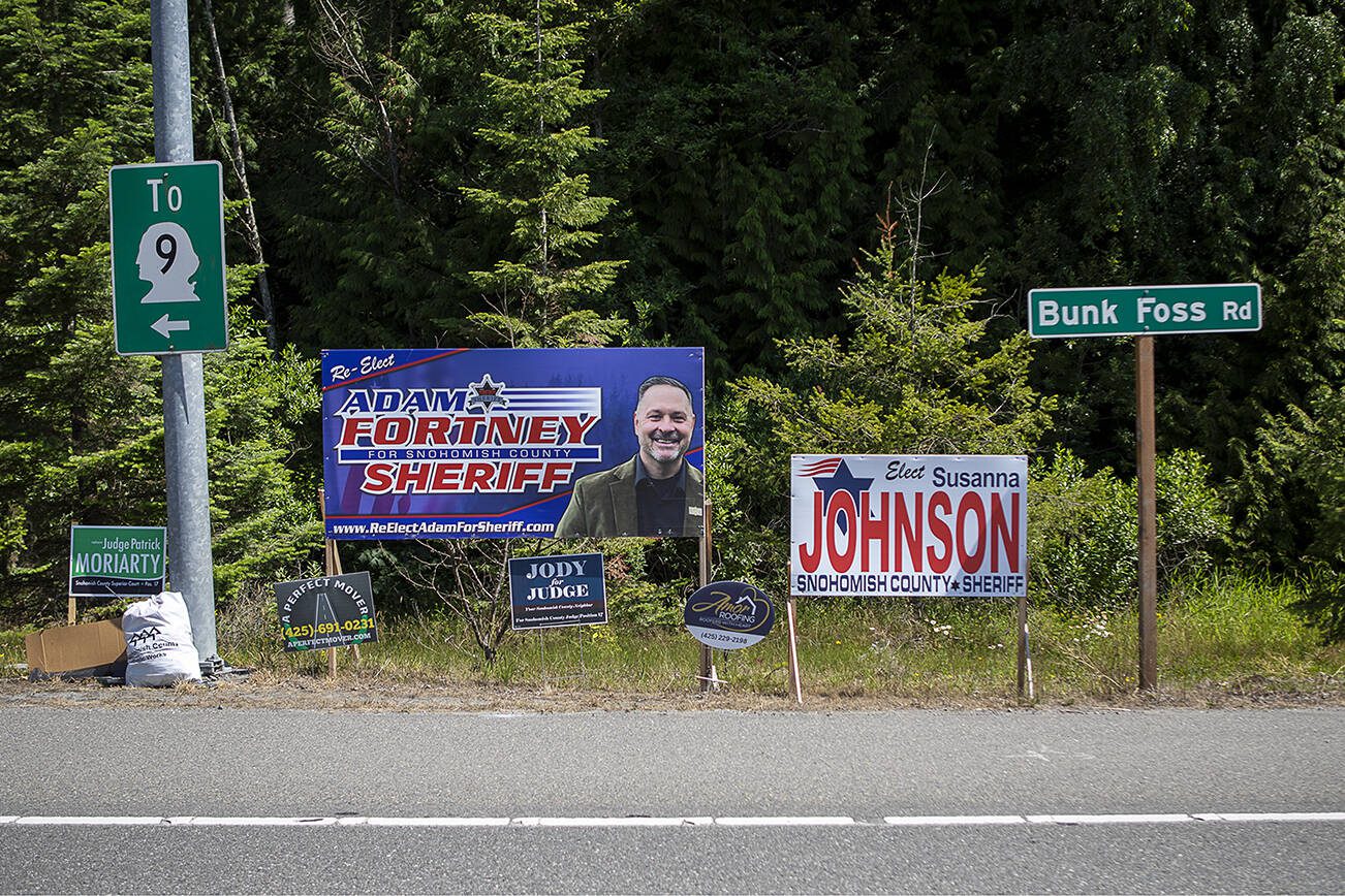 Political campaign signs posted for Adam Fortney, Susanna Johnson and others in Snohomish, Washington on Monday, July 3, 2023. (Annie Barker / The Herald)