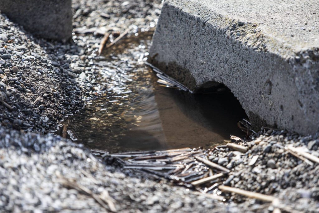 Water flows out into the ocean from Maple Grove Boat Launch on Wednesday, June 28, 2023 in Camano Island, Washington. (Olivia Vanni / The Herald)
