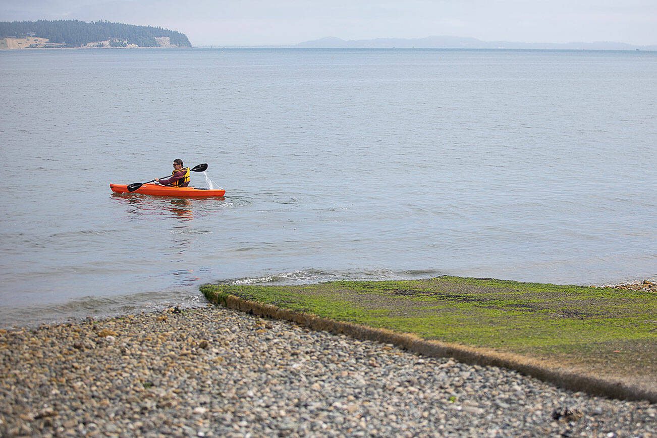 A kayaker launches from the Maple Grove Boat Launch into the contaminated water on Wednesday, June 28, 2023 in Camano Island, Washington. (Olivia Vanni / The Herald)