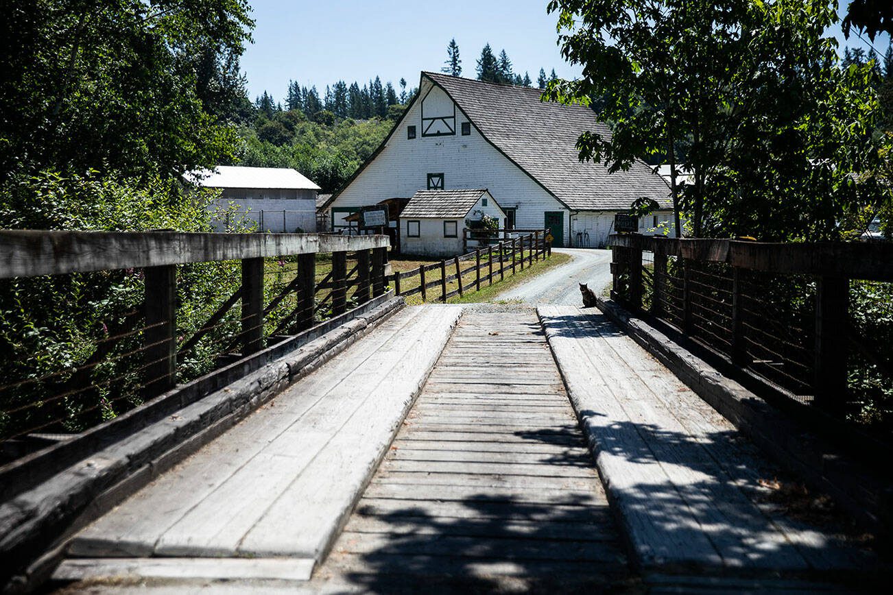 Across the bridge from the barn feature in The Ring on Tuesday, July 18, 2023 in Monroe, Washington. (Olivia Vanni / The Herald)